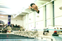 Meet vs Troy