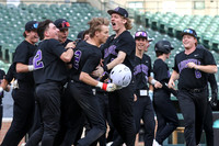 Varsity vs Algonac at Comerica Park