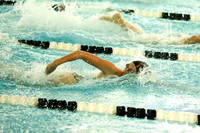 Meet vs Seaholm