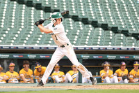 South Lyon vs W Bloomfield Baseball at Comerica Park