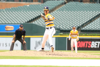South Lyon vs W Bloomfield Baseball at Comerica Park