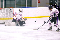 vs Woodhaven