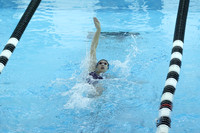 Meet vs N Farmington