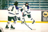 vs Rochester United Reg QtrFinals